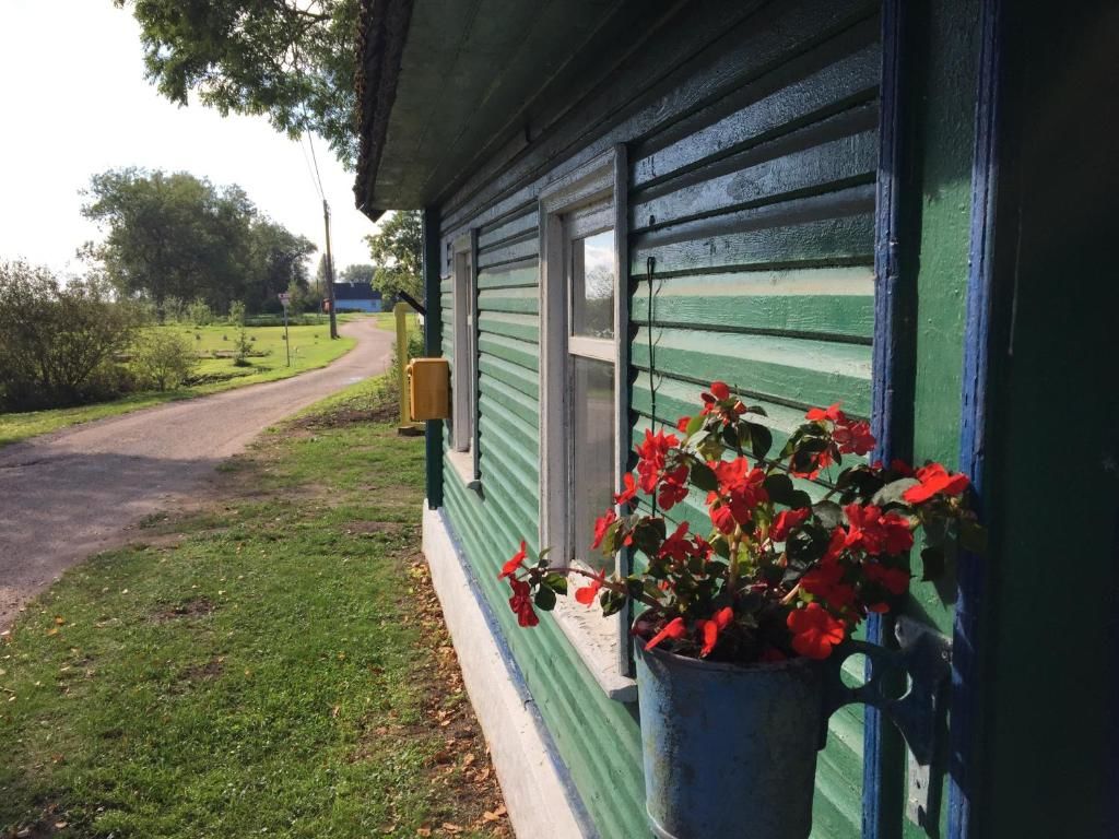 Гостевой дом Mesi Tare Guesthouse Varnja-66